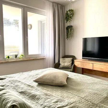 Duenensegler * Juliusruh