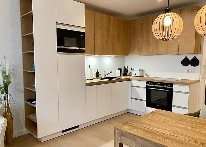 Duenensegler Juliusruh